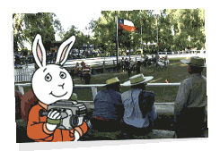 Postcards from Buster